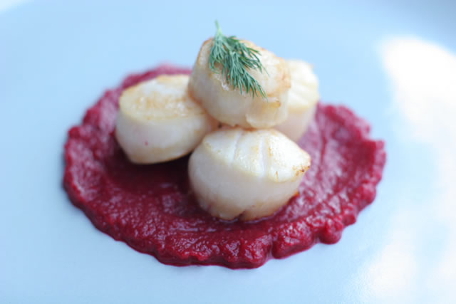 Seared scallops on a swirl of beet purée
